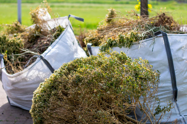 Best Same-Day Junk Removal Services  in Ely, IA